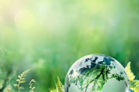 Fundamentals of Environmental Science